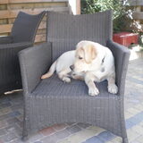 Foto van Ina en Boris