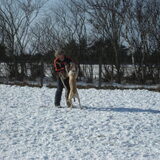 even spelen met hans en loslopen met de andere honden dat is het…