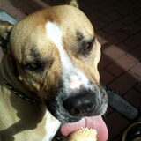 ijsje eten