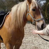 Foto van isabelle