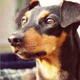Esther mijn soulmate.. Bioritmisch gezien: 100% emotional compatible…