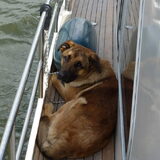 he baas, wanneer gaan we varen?