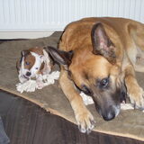 Foto van december 2008