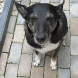 Alweer een foto vrouwtje?
