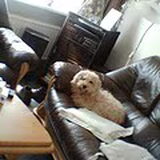 binky op de bank