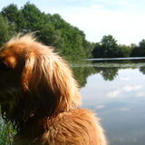 ben je nu weer foto's aan het maken ;o