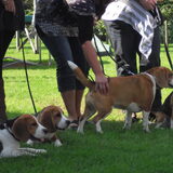 11-9-2010 nest reunie, 5,5 maand oud!