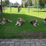 11-09-2010 nest reunie