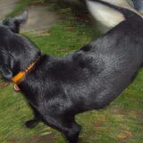 zusje