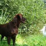 Xena