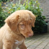 ben zo moe!