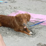 lekker op het strand