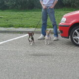 De touristen in Duitsland ;-)