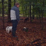 Foto van liesbeth,Turbo,Luna, Levi en Faith