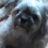 is hij niet lief ons Spike de fotomodel haha