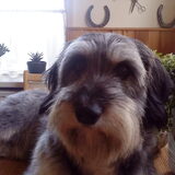 dit is dicht bij