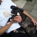 Foto van zaza