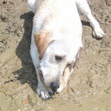 7 maanden en volop zomer!
