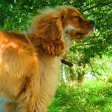 genieten in de wind