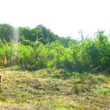 op het veld