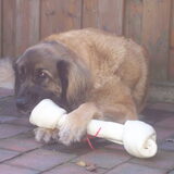 Foto van eline