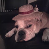 met een hoed