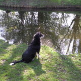 Kaily houd alles in de gaten