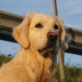 en natuurlijk foto model !!