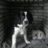 testo 5maanden