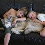 Rocco Leffe en Daena