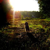 Zon gaat onder n.n