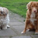 Bella en Faith