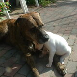 Gezellig samen