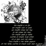 Foto van .....