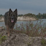 Foto van De Mecheltjes clan