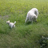 Samen met Sam.