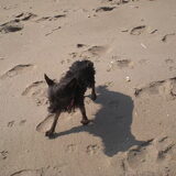 Lieve Diva