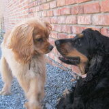 Mo & Belle