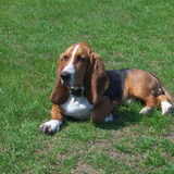 Foto van Lieve