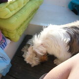 In de boot!
