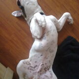 In diepe coma....