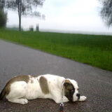 (23-09-2010)Bekijk het maar....wil nog helemaal niet naar huis!! Laat…