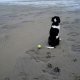 wat is de zee mooi