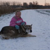 Foto van Leffe Saarlooswolfhond