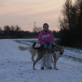 Foto van Leffe Saarlooswolfhond