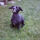 Mungo 2010