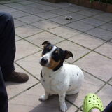 Foto van Beerens jacques