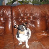 Foto van Beerens jacques