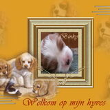 mijn hobby het bewerken van foto,s