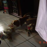 Foto van leony met Binky